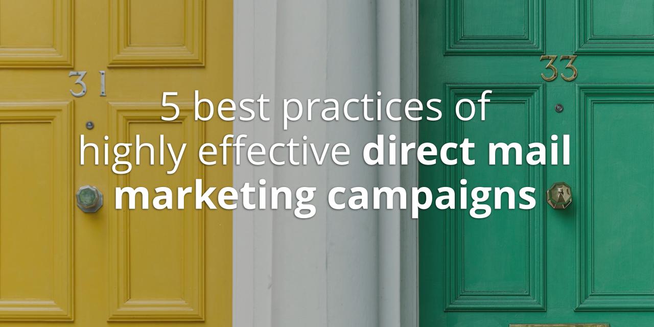 Email Marketing 101: Building Effective Campaigns for Maximum ROI