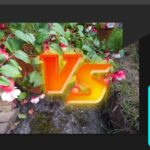 Photoshop vs. Lightroom Which One Should You Use for Photo Editing?