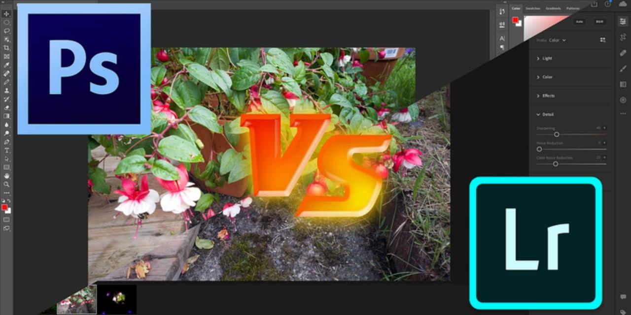 Design indesign illustrator photoshop vs what adobe graphic use can used visual should app which software 99designs make blog infographic Photoshop vs. Lightroom: Which One Should You Use for Photo Editing?