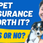 Exploring the World of Pet Insurance Is It Worth It?